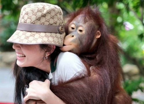 サファリワールド&マリンパーク